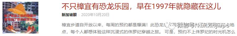 樟宜机场39年来最黯淡的生日，交通部长说一切会好起来的