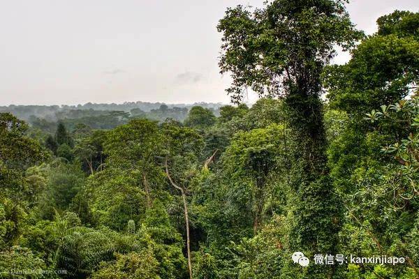 探秘这块风水宝地，七年间价格竟翻了四倍