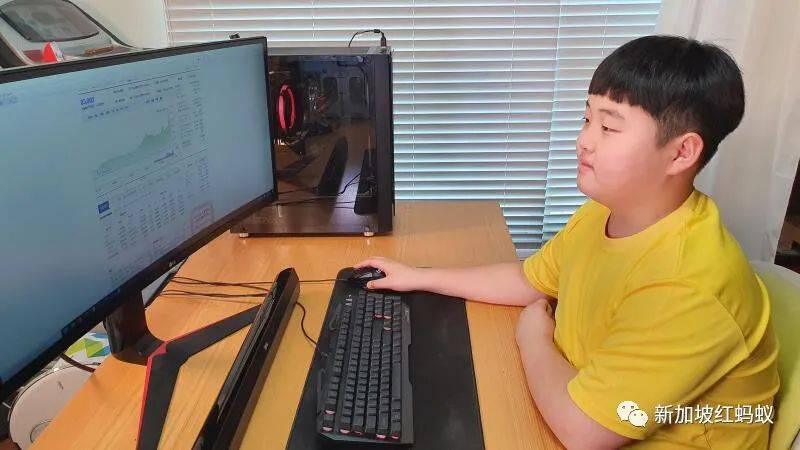 疫情期間越來越多Z世代迷上炒股　12歲男生投資近3萬新元賺回42%