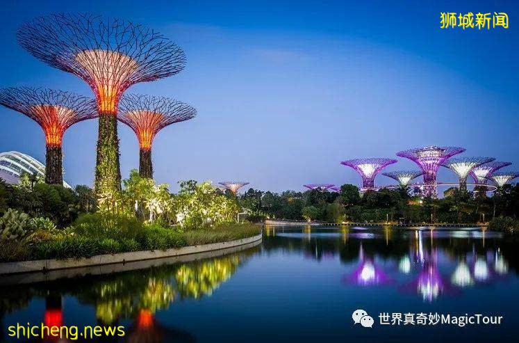 新加坡 帶您走進新加坡濱海灣花園