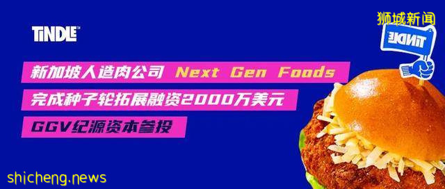 新加坡人造肉公司 Next Gen Foods完成種子輪拓展融資2000萬美元，GGV紀源資本參投 GGV Family