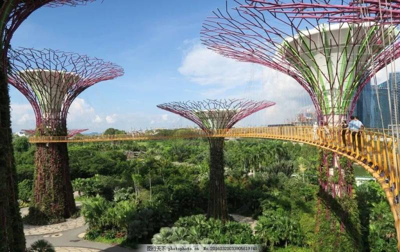 新加坡植物园，真的是个风景如画的好地方呢~（一）