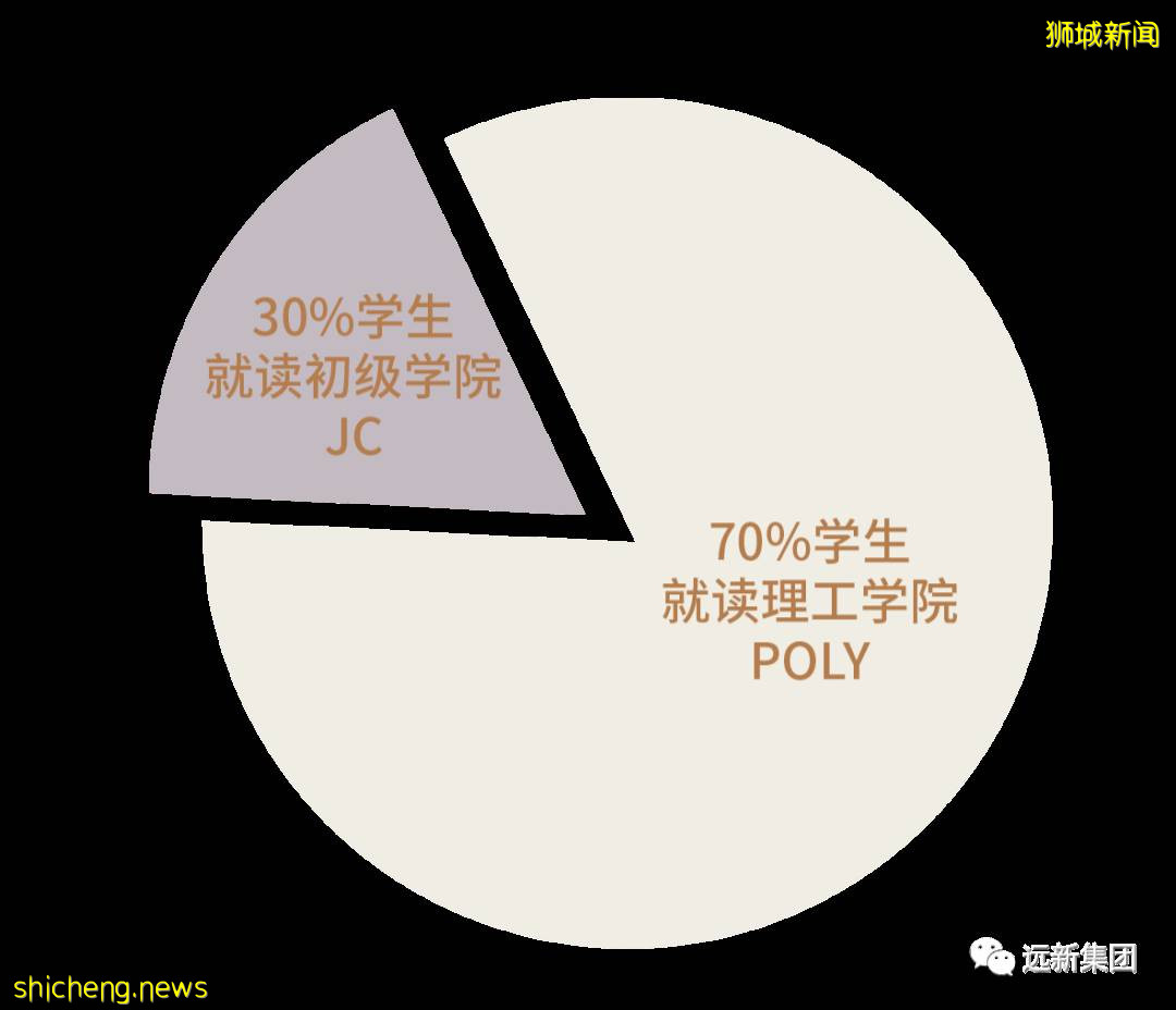 是什么导致了中国和新加坡对专科教育的分歧