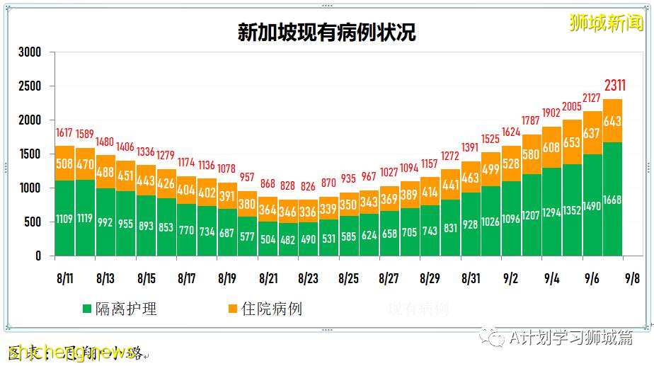 9月8日，新加坡疫情：新增349起，其中本土347起，输入2起；新增一学校感染群8名小四生确诊