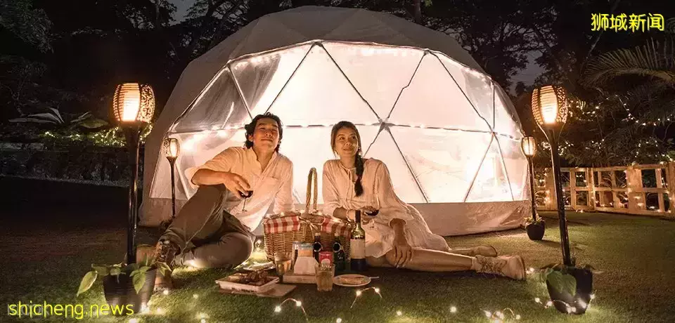 新加坡动物园2天1夜豪华露营🏕入住户外圆顶帐篷，近距离和小动物接触🐒 