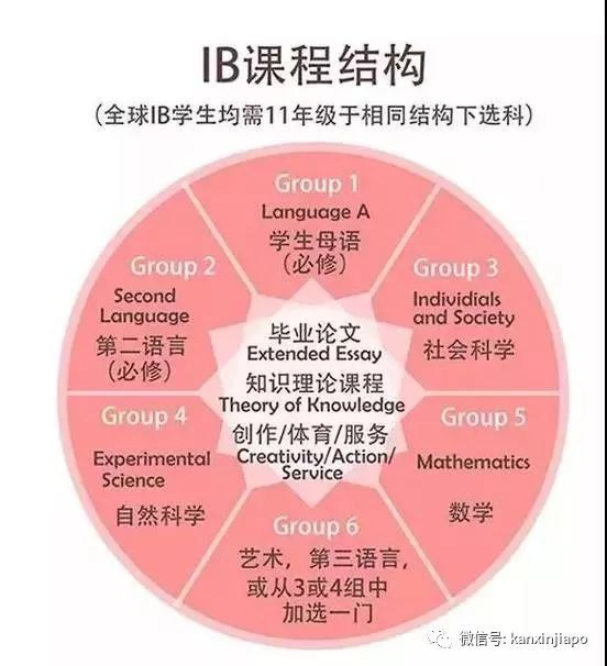 全球IB考试99人得满分，55考生来自新加坡