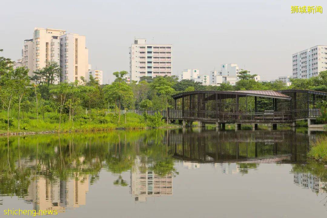 人少景美！新加坡5個自然公園推薦，第一個就心動了