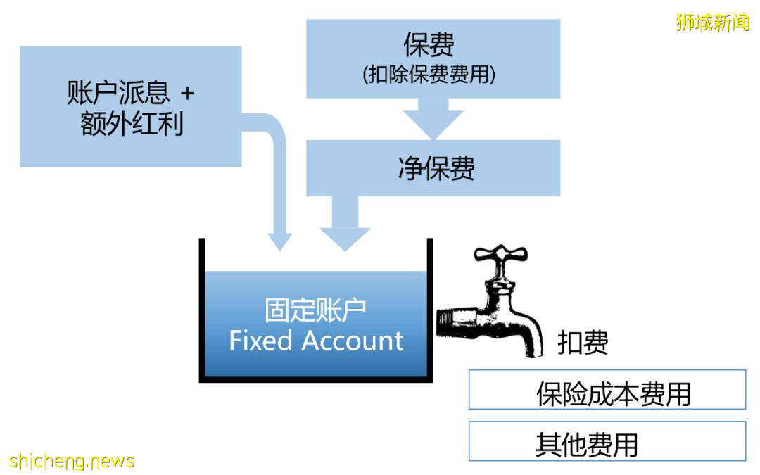 传统万能险与指数型万能险简介，从新加坡的角度